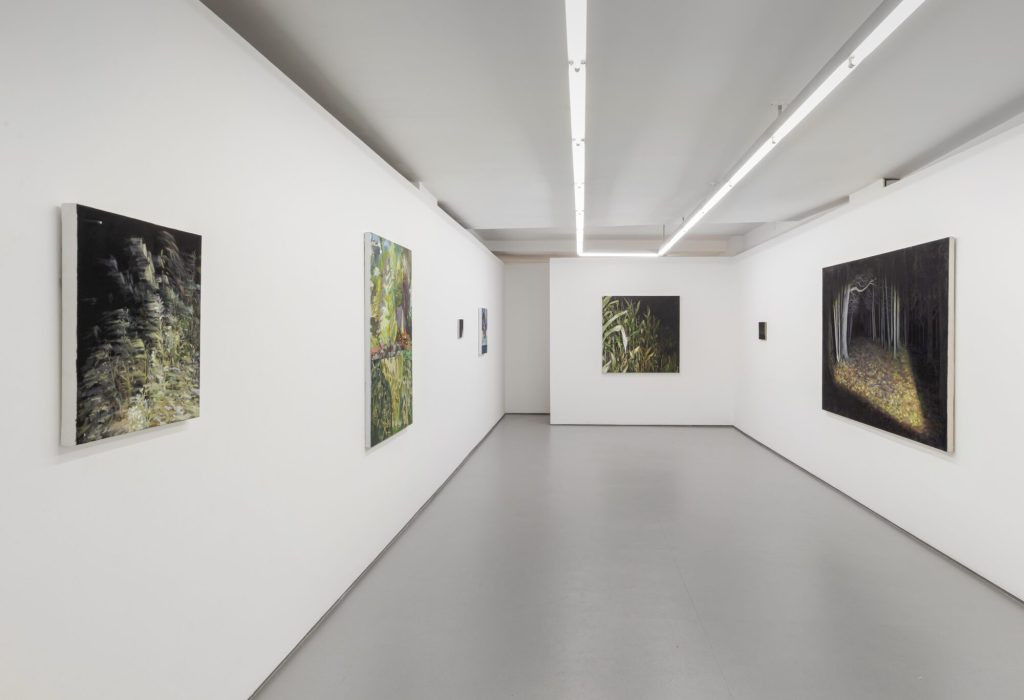 Here Comes the Night, MKG127, Toronto, 2026. Group show with Monica Tap, Connor Rothe, and Eric Allan Cameron.